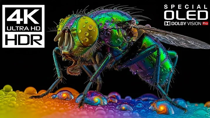 JAW-DROPPING 4K HDR 60fps | Dolby Vision (8K / 4K Video TV TEST)