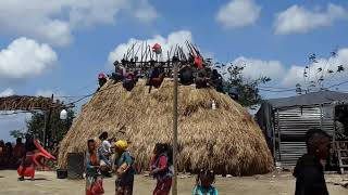 Download Lagu Dahur Uma Lulik MP3