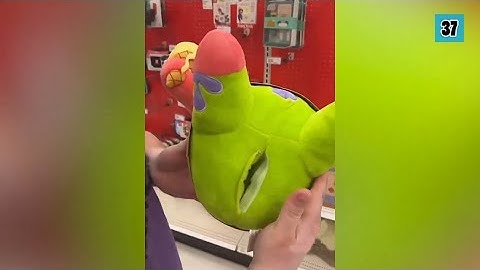 Very Funny Random Memes Number 1