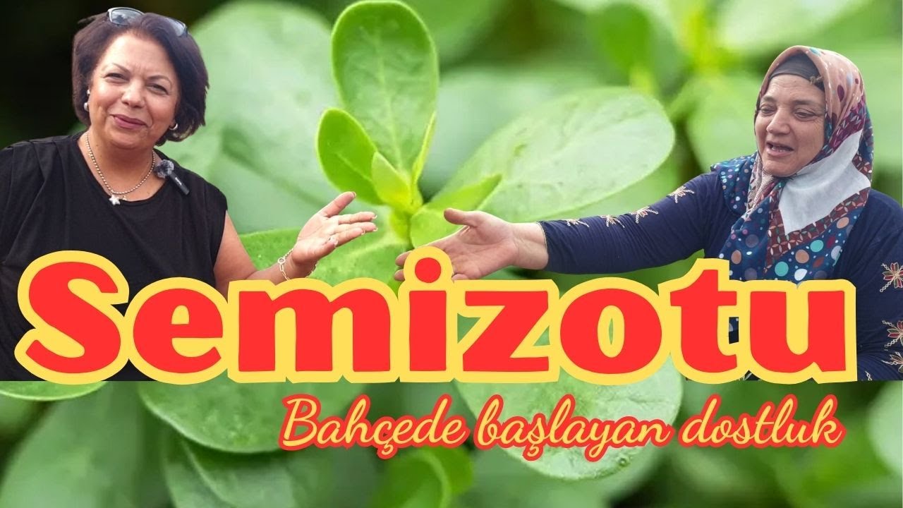 Yolumuzu Şaşırdık, Ama Anadolu’nun Kalbine Konuk Olduk  Semizotu ve Bir Dostluk Hikayesi”