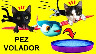 Soy un pez volador pero jugando gatos graciosos Luna y Estrella / Videos de I AM FISH en español