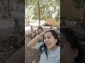 Highlight live