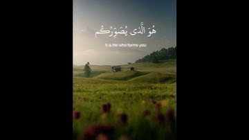 إِنَّ اللَّهَ لَا يَخْفَىٰ عَلَيْهِ شَيْءٌ | عبدالرحمن مسعد |  سورة آل عمران