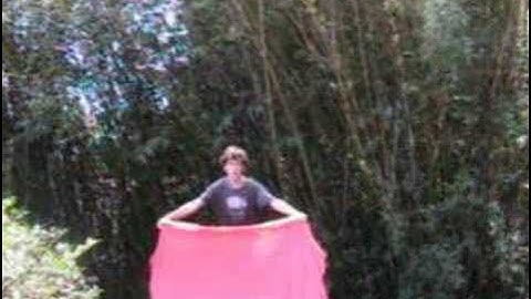 Metamorphisis Version II