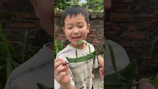 Làm cho Dứa cái thuyền lá #funny #boat #diy #diycrafts