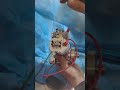Running repaired Panhead V-twin Engine Model | Stirlingkit