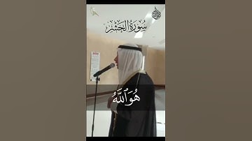 تلاوة مؤثرة بصوت عذب للقارئ عمرو القاضي | قرآن يريح القلب والروح