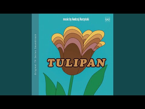 Sweet, sweet Tulipan