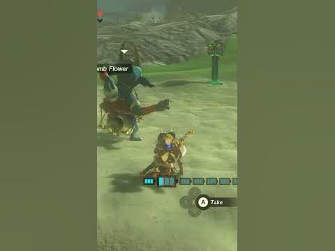 New and weird way to farm elements in totk and bombs #gaming #