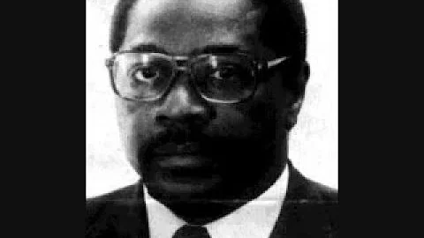Amos N. Wilson | Black Child Development Under Whi...