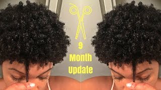 9 Month Big Chop Update: Pantene Gold Series