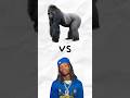 1 Gorilla vs 100 Rappers…who you got? #hiphop #rap #music