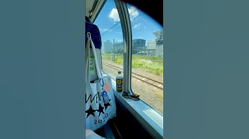 【いきものがかり】「いきものがかりの みなさん、こんにつあー!! 2025 〜ASOBI〜」ツアーファイナル横浜アリーナ参戦🤣#いきものがかり #ドラマティックおいでよ #asobi #横浜アリーナ