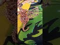 lapis lazuli copper wire dragon sculpture