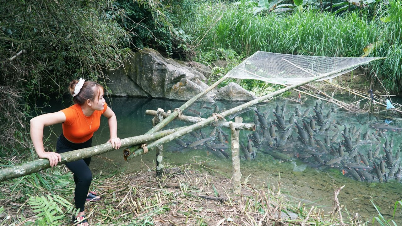 How To Fishing With Trawl Nets, Harvesting A Lot Of Fish Go To Market Sell