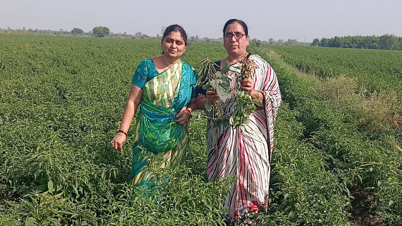 farming(రైతే రాజు)🌽🚜