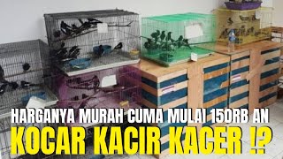 KOCAR KACIR KACER ! CUMA MULAI 150RB AN DI KIOS PASAR BURUNG PRAMUKA