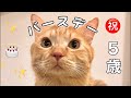 やり直し！