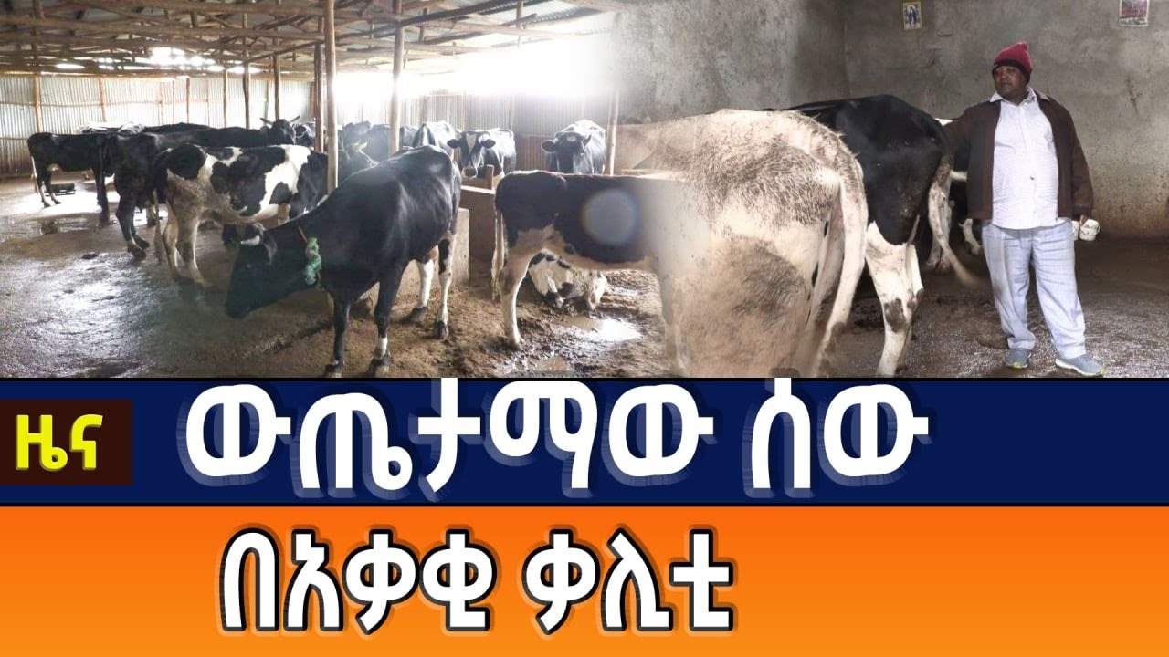 እንስሳ በማድለብ፤ በወተትና የወተት ተዋጽኦ ዘርፍ ውጤታማው ሰው በአቃቂ ቃሊቲ
