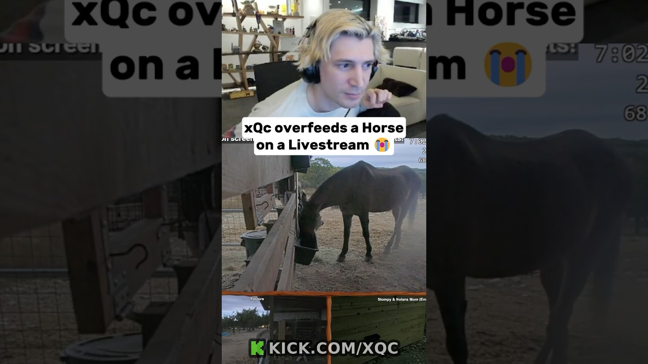 xQc overfeeds a Horse on a Livestream 😭 