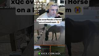 Xqc Overfeeds A Horse On A Stream  xqc streamer