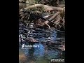 So much plastic (music) song made by me, Mr Sykotic