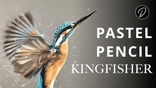 Pastel Pencils Lesson: How To Draw A Kingfisher screenshot 4