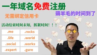 免费域名申请2020|该活动应该已经结束了，想薅的随时关注我，有活动了告诉大家