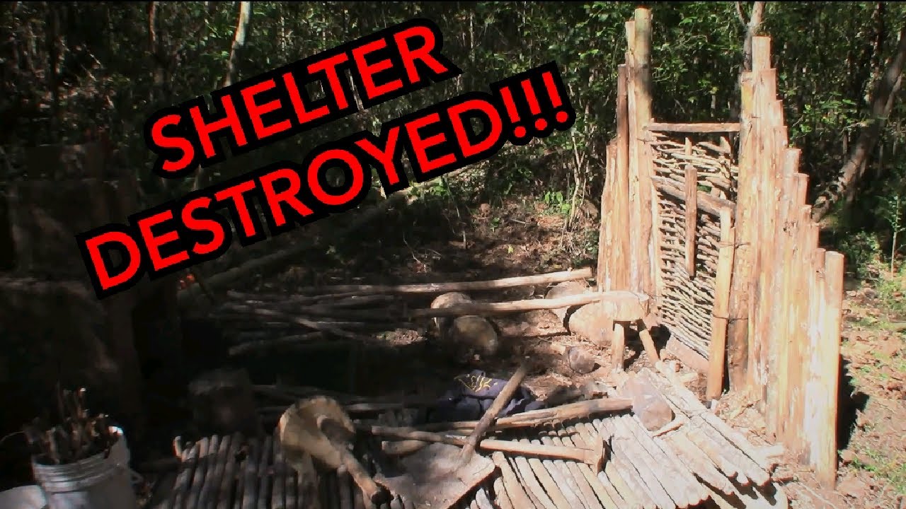 THE SHELTER FELL DOWN!!! Bushcraft Basecamp Build Ep.26