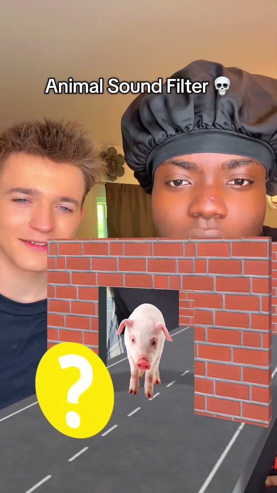 The Animal Sound Filter ?