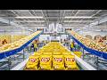 Inside the Factory: How Potato Chips Are Made (Satisfying Process)