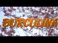 Burculina