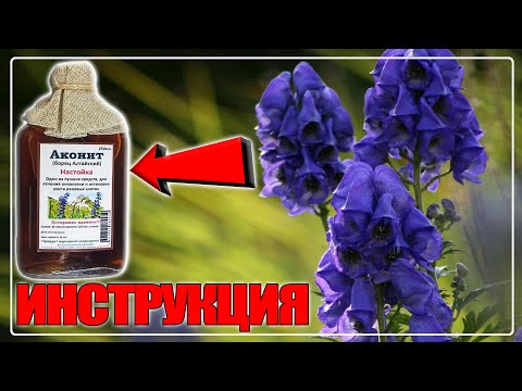 АКОНИТ НАСТОЙКА ИНСТРУКЦИЯ ПО ПРИМЕНЕНИЯ | АКОНИТ ДЖУНГАРСКИЙ – БОРЕЦ №1