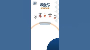 Rotary torque sensor