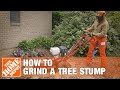 How To Grind A Tree Stump | The Home Depot