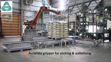 Fully Automatic Packing & Palletizing System