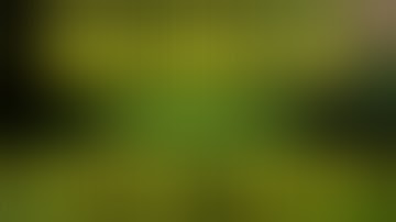 MW3 PRESTIGE TOKEN GLITCH! (Unlock Everything) Tutorial