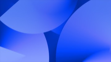 What Next for the Global Car Industry?