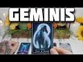 GEMINIS ♊️ SI NO TE SALE LO QUE DIGO EN 7 DIAS ME RETIRO‼️🔮 HOROSCOPO #GEMINIS HOY TAROT AMOR