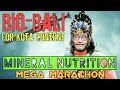 Mineral Nutrition | Mega-Marathon | BioBali Series by Vipin Sharma for NEET