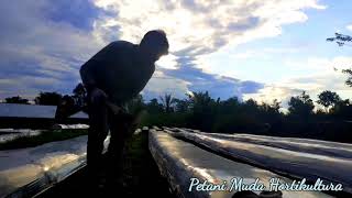SEWATES KERJO | Cover Video Petani Desa