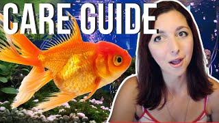 Goldfish Beginner Care Guide | Basic Care For Goldfish screenshot 1