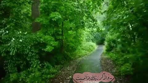 سورة الفرقان من (42) الى (60) مع صوت مطر ومنظر جميل القارئ إدريس أبكر