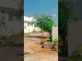nizampet 💯 #youtube video viral 🆕 #short