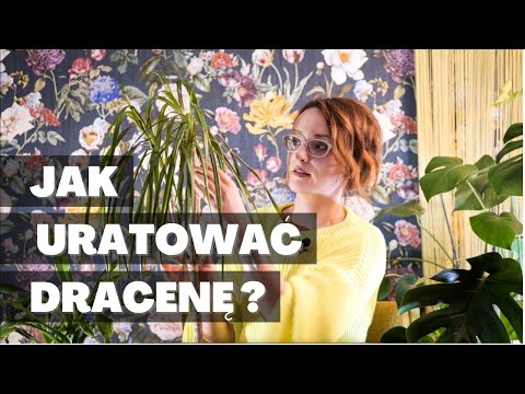 Wideo: Jak długo trwa oczyszczenie studni?