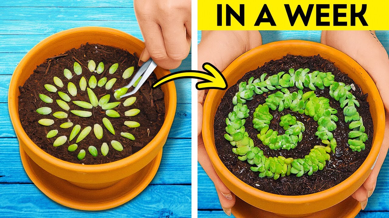 Genius Gardening Hacks to Transform Your Cozy Home 🌱 - YouTube