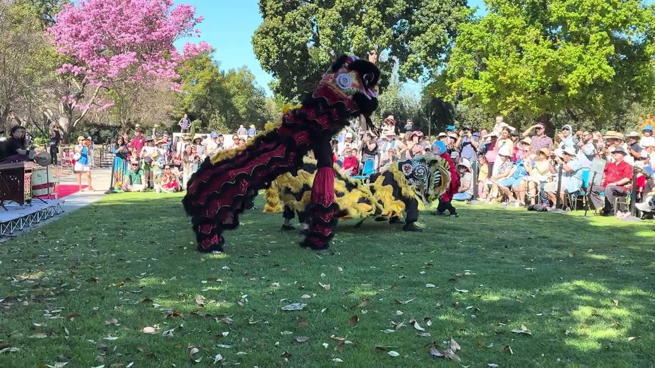 Lunar New Year 2026 celebration at The Arboretum LA CA part 2 of 3