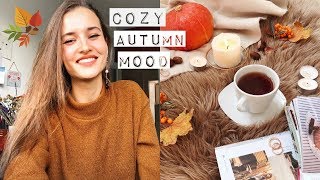 🍁Осеннее настроение 🍂TAG