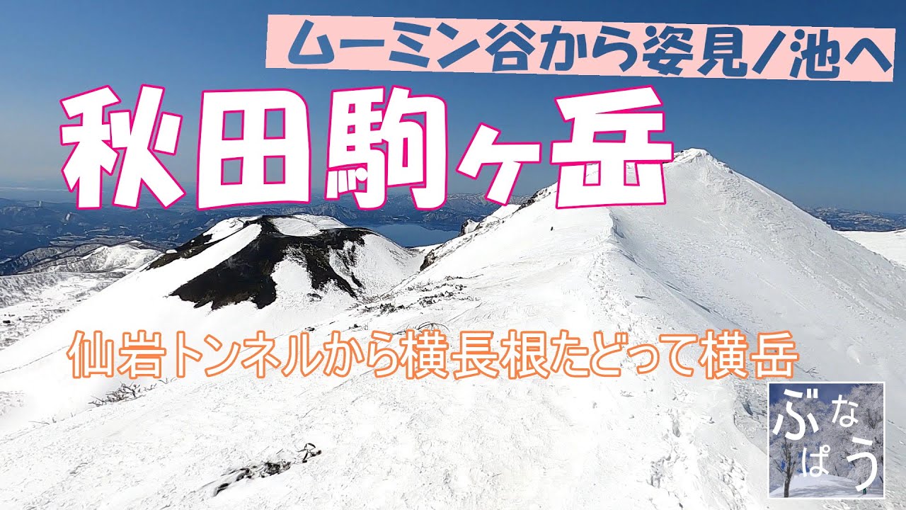 秋田駒ヶ岳【山スキーツアー】ムーミン谷からカルデラ滑って姿見ノ池