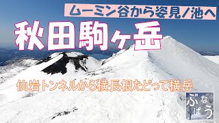 秋田駒ヶ岳【山スキーツアー】ムーミン谷からカルデラ滑って姿見ノ池